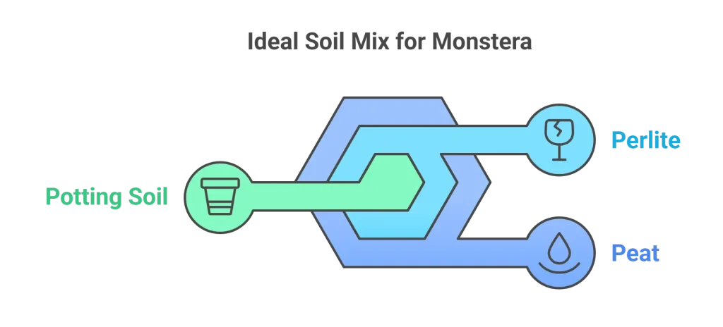 Infographic showing the ideal soil mix for Monstera plant growth, including key ingredients.